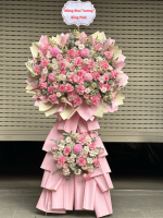 Hoa chúc mừng khai trương giá rẻ - Thịnh Lộc Sinh(1)