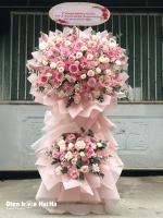 Hoa tặng khai trương - Dẫn Tầm Cao(2)